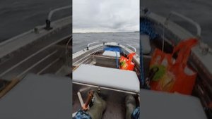 Wyatboat-390 P и YAMAHA 9.9GMH