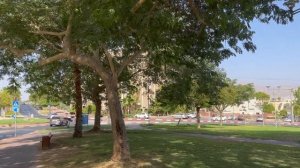 ПОЧЕМУ Я УЕХАЛ ИЗ ИЗРАИЛЯ?