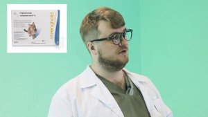 Как вывести блох у кошки. Советы ветеринара.