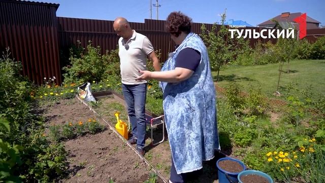 Сажаем голубику! смотреть онлайн