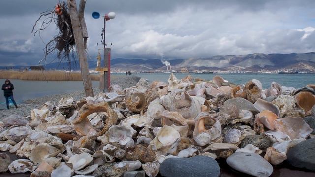Зимняя прогулка по набережной Чёрного моря | Новороссийск