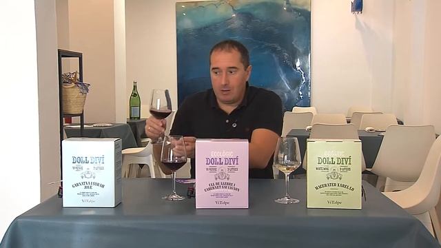 Cata de Bag in Box de la Bodega Vitalpe del Penedés. La nueva forma de guardar el vino. смотреть онлайн