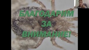 Влияние «АГРОСТРАЖ» на численность красного куриного клеща в птицеводческих хозяйствах