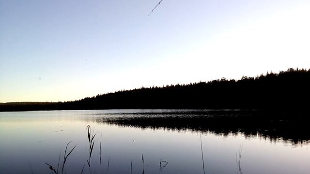 Рыбалка на поплавок,поклевки на каждом забросе. смотреть онлайн