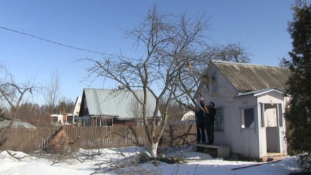 ОБРЕЗКА СТАРЫХ ЯБЛОНЬ ВЕСНОЙ