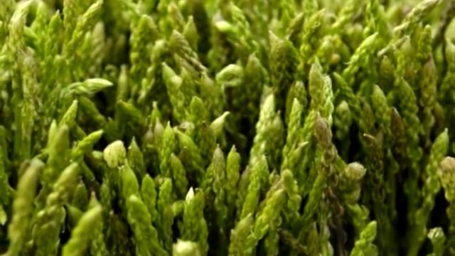 Le piante selvatiche commestibili della Selva del Lamone смотреть онлайн