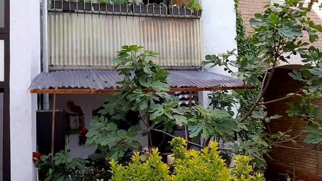 Крыша над балконом Dach Überdach für Balkon