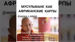 Мусульмане как африканские карпы