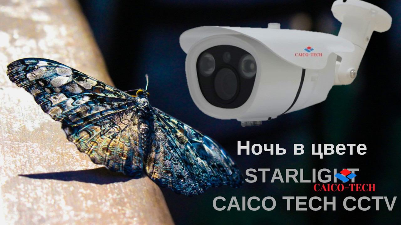 НОЧЬ в ЦВЕТЕ CAICO TECH CCTV  светочувствительные видеокамеры