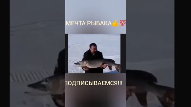 Мечта каждого рыбака!!! Я рыбак!!!??? #рыбалка #мечта #рыба