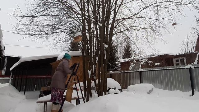 Зимой на даче / Серия 2 смотреть онлайн