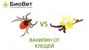 Ванилин от клещей