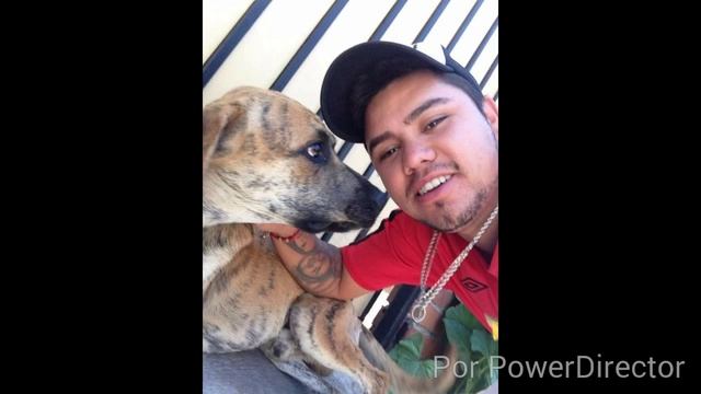 Los patrañas 2.0 смотреть онлайн