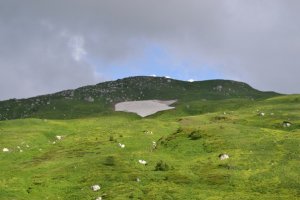 Фильм.1.На перекрестке.стихий.avi загадочная и неизвестная карелия