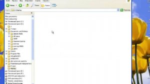 Работа с объектами файловой системы