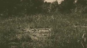 "Двигайся!" Оммаж классике постсоветского некрореализма "Серебряные головы" Евгения Юфита