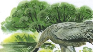 Чьи это ноги?