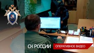 Мужчине предъявлено обвинение в организации незаконной вырубки леса на территории Смоленской области