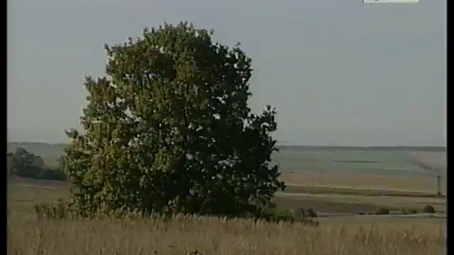 Праздник сельхозработников