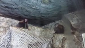 ЗООПАРК РИО РИВЬЕРА СОЧИ