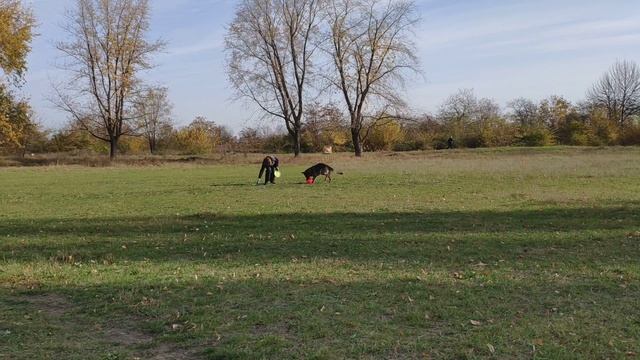Frisbee-Манія 2018 Ольга и Зита.mp4