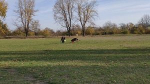 Frisbee-Манія 2018 Ольга и Зита.mp4