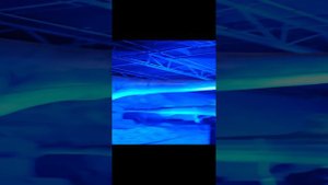 Динозавры.  ОГРОМНЫЙ Мегаладон и многие другие...