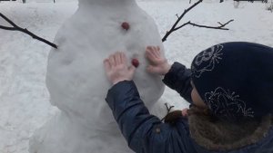 Снеговик-2 с морковкой - супер! Лена Слютена, Харьков