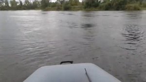 Sea pro 3 и енисей