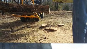 Stihl MS291 vs Poulan 2150