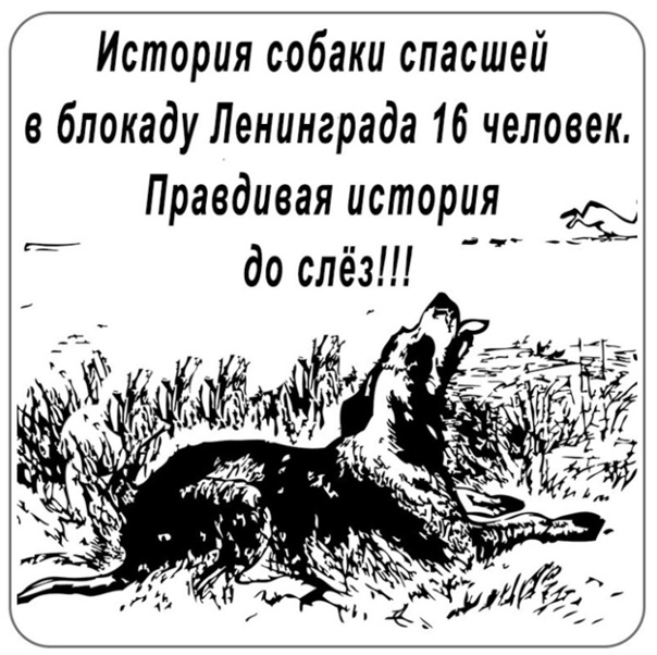 Реальная История, как в блокадном Ленинграде пёс, Трезорка, спас от голода четыре семьи.