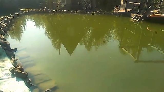 Отзыв о Пленке Винилит от клиента! смотреть онлайн