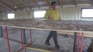 УТЕПЛЯЕМ САРАЙ , ОСБ ПЛИТЫ,И ВАТА, ЦЕНА НА МЯСО И САЛО копченое