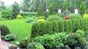 Цветущая планета приглашает на занятия и в сады