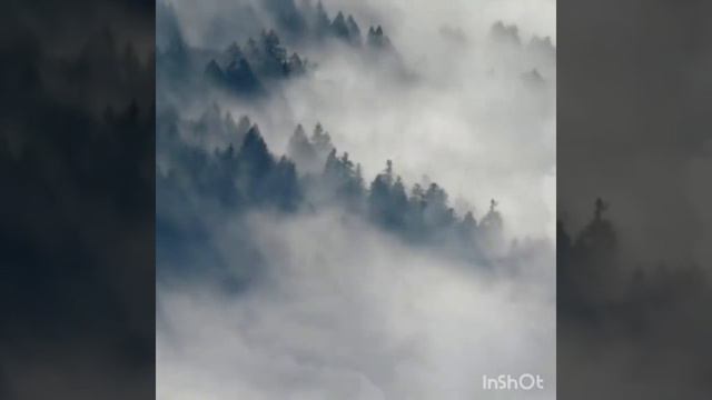 Влад Бахов новый взгляд смотреть онлайн