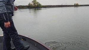 Осенняя рыбалка на Москве реке с лодки | Артём Мишин
