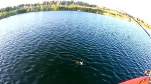 РЫБАЛКА НА СПИННИНГ С ЛОДКИ ЛЕТОМ / РЫБАЛКА НА ЩУКУ И ЖЕРЕХА