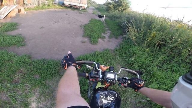 Собака & велосипедист.  Беременным велосипедисткам не смотреть 8)