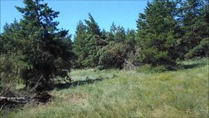 гуляем после урагана