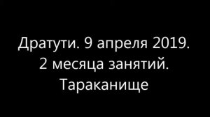 Дратути. 9 апреля 2019. 2 месяца занятий. Тараканище