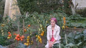 Что делать в саду в сентябре