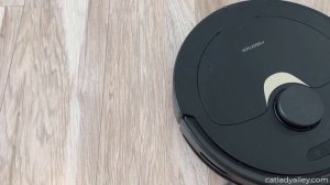 Roborock Q Revo - Vacuuming Demo
