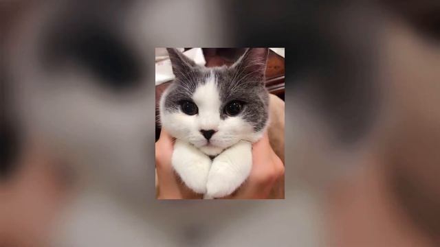 INSTASAMKA Отключаю телефон (speed up) смотреть онлайн