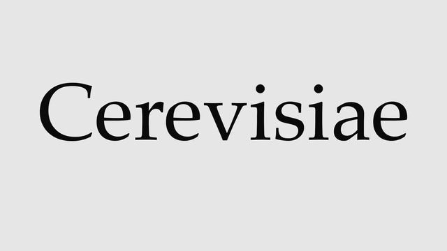 How to Pronounce Cerevisiae смотреть онлайн