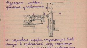 1937 Тетрадь по анатомии. Советская школа. Потрясающие рисунки!