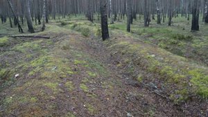 Линия "Пантера", насыпная фортификация ч. 1