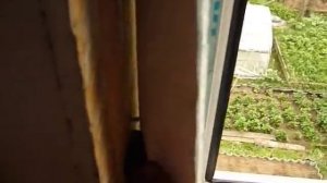 Установка пластикового окна в деревянном доме