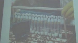 Маточное молочко и вывод маток(Ильин Максим)