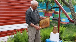 Отличная поилка для пчёл