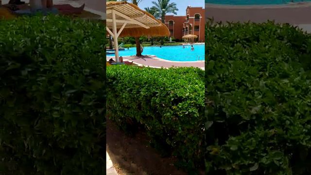 Caribbean World Resort Soma Bay Hotel bemutató videó смотреть онлайн